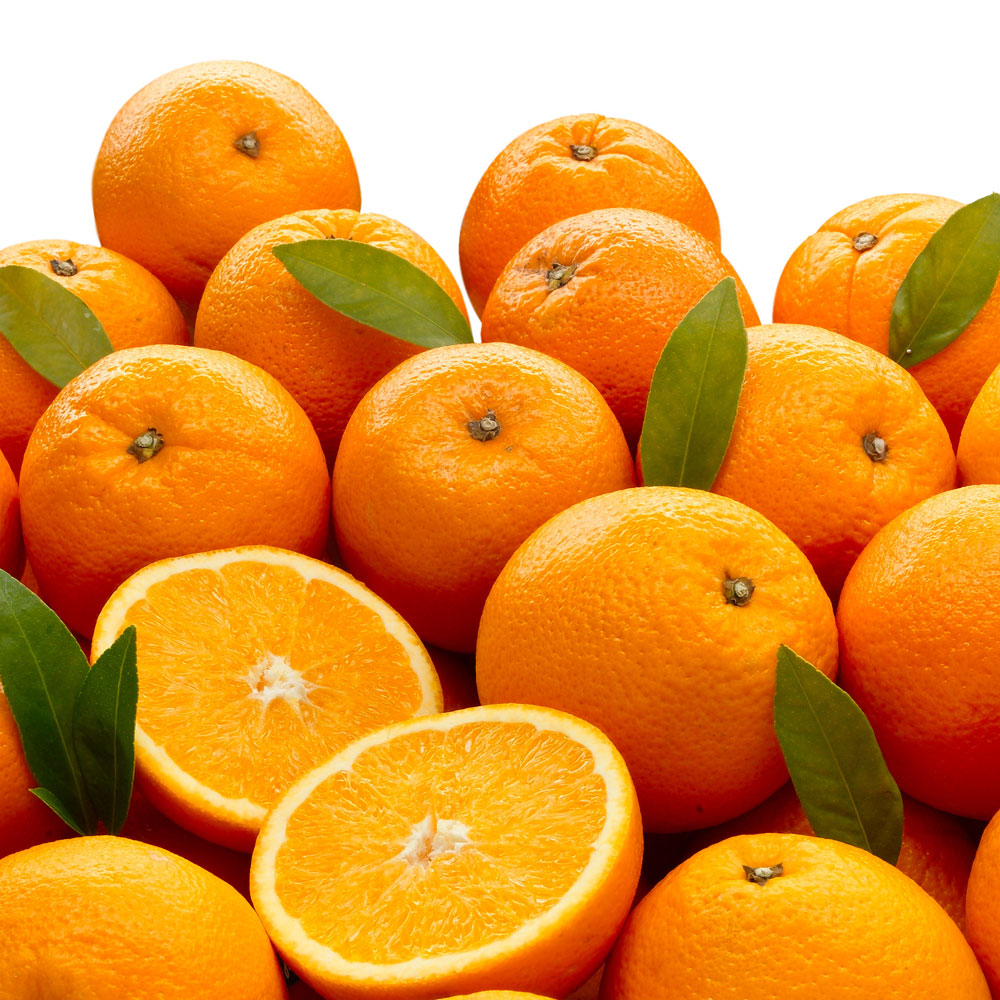 실속형 못난이 네이블 오렌지 대과